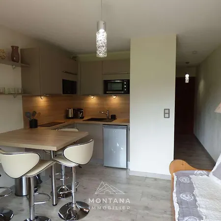 Renove 1er Etage Pour 4 Pers. - - Fr-1-458-182 Apartment Le Grand-Bornand